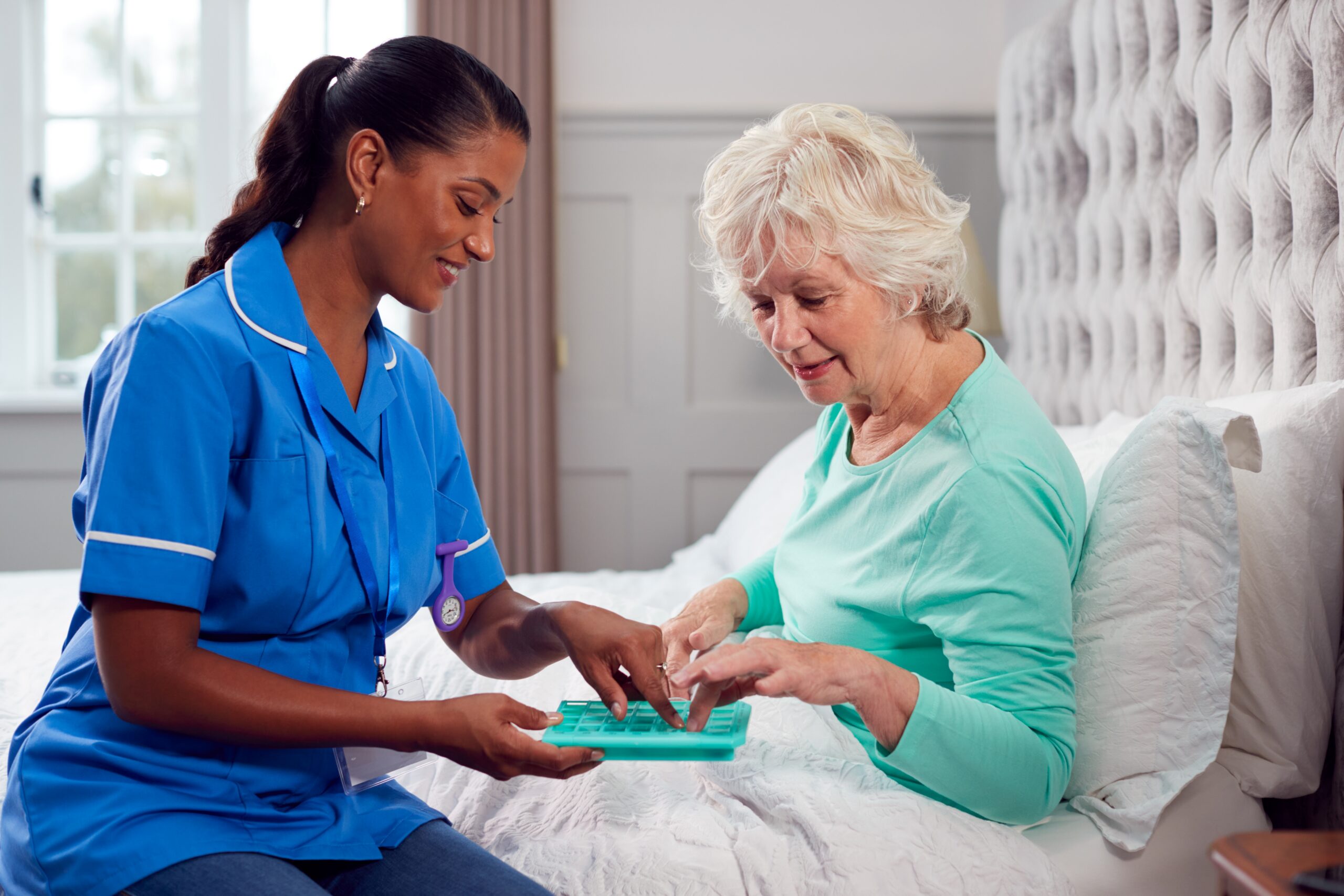 Oikos Portfolio and Revalidation Support